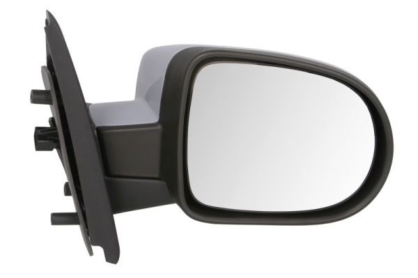 BLIC 5402-09-2002238P Exterior Mirror