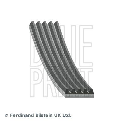 BLUE PRINT AD05R880 V-Ribbed Belt