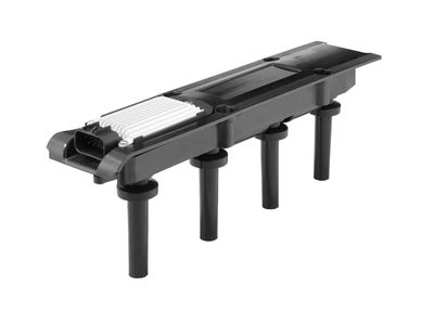 Ignition Coil BorgWarner (BERU) ZSE281