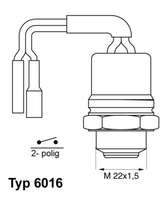 Temperature Switch, radiator fan BorgWarner (Wahler) 6016.92