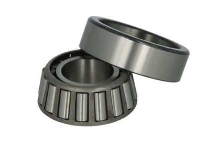 Wheel Bearing BTA B01-32309