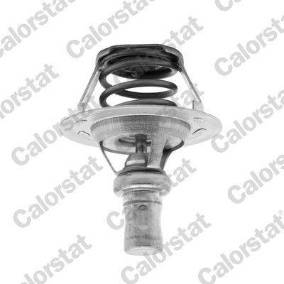 Thermostat, coolant CALORSTAT by Vernet TH5284.91J