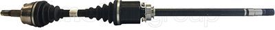 Drive Shaft CIFAM 655-485