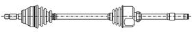 Drive Shaft CIFAM 655-570