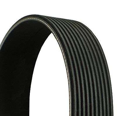 V-Ribbed Belt CONTINENTAL CTAM 10PK1240