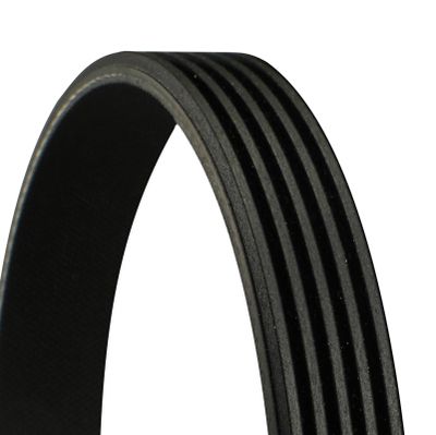 V-Ribbed Belt CONTINENTAL CTAM 5PK1441