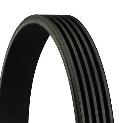 CONTINENTAL CTAM 5PK813 V-Ribbed Belt