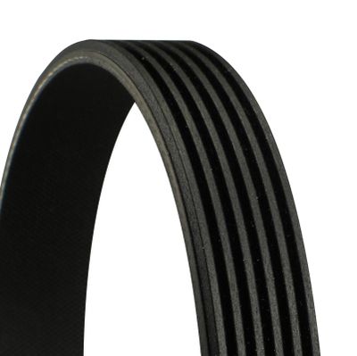 V-Ribbed Belt CONTINENTAL CTAM 6PK1179 EXTRA