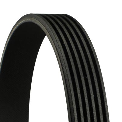 CONTINENTAL CTAM 6PK1570 V-Ribbed Belt