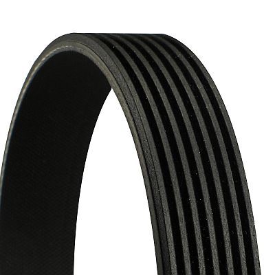 V-Ribbed Belt CONTINENTAL CTAM 7PK2967