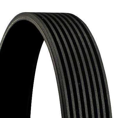 CONTINENTAL CTAM 8PK2497 V-Ribbed Belt