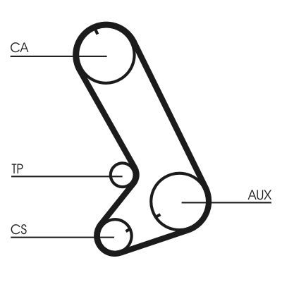 Timing Belt CONTINENTAL CTAM CT773