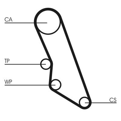 Timing Belt CONTINENTAL CTAM CT865