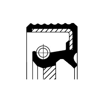 CORTECO 12019606B Shaft Seal, differential