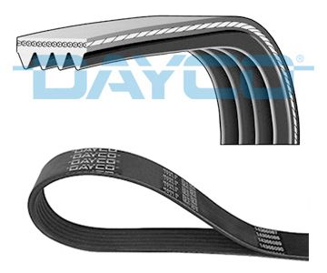 V-Ribbed Belt DAYCO 4PK1645