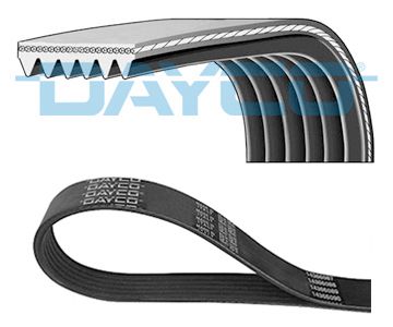 DAYCO 6PK2080HD V-Ribbed Belt