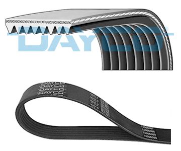 DAYCO 8PK1095HD V-Ribbed Belt