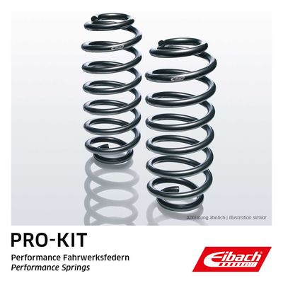 Suspension Set, springs EIBACH E1004-120