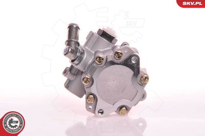 Hydraulic Pump, steering ESEN SKV 10SKV105