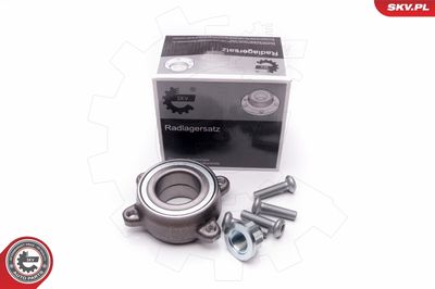 Wheel Bearing Kit ESEN SKV 29SKV125