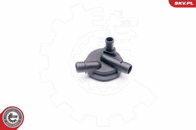 Valve, crankcase ventilation ESEN SKV 31SKV012