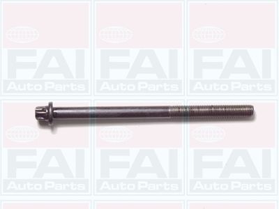 Cylinder Head Bolt Set FAI AutoParts B1050