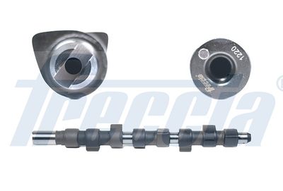 Camshaft FRECCIA CM05-2106