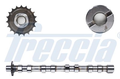 Camshaft FRECCIA CM05-2176