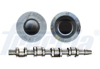 Camshaft FRECCIA CM05-2181