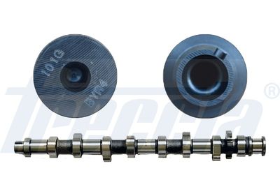 Camshaft FRECCIA CM05-2191