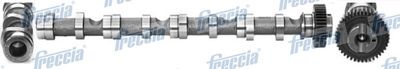 Camshaft FRECCIA CM05-2195