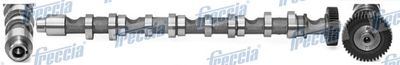 Camshaft FRECCIA CM05-2196