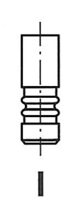 FRECCIA R4899/BMARCR Intake Valve