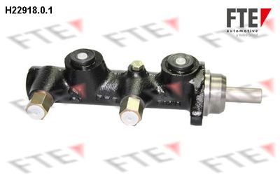 Brake Master Cylinder FTE 9220004