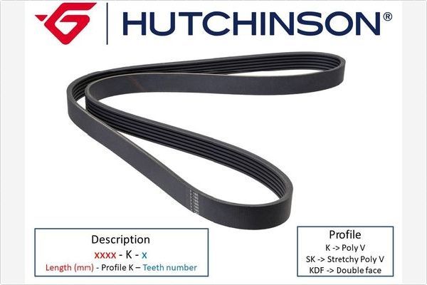 HUTCHINSON 1815 K 5 V-Ribbed Belt