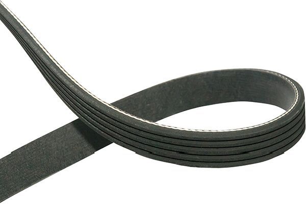 Kavo Parts DMV-3030 V-Ribbed Belt