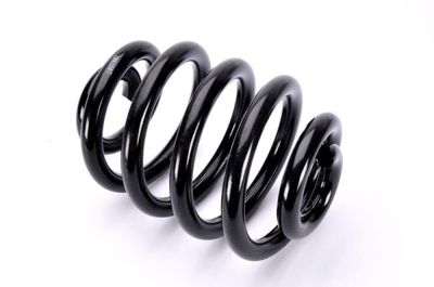 Suspension Spring Magnum Technology SW078MT