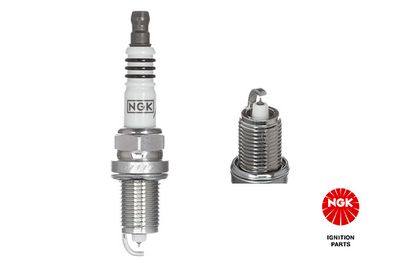 Spark Plug NGK 3064