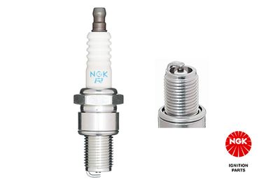 Spark Plug NGK 3194