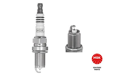 Spark Plug NGK 3215