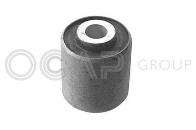 Mounting, control/trailing arm OCAP 1215152