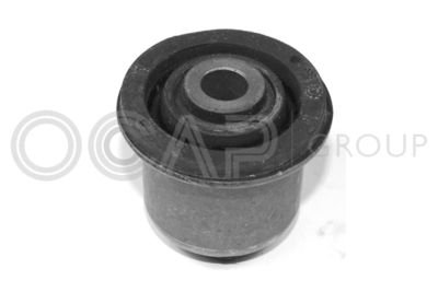 Mounting, control/trailing arm OCAP 1215162