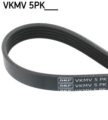 SKF VKMV 5PK1750 V-Ribbed Belt