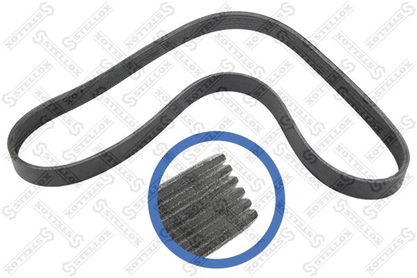 STELLOX 06-01019-SX V-Ribbed Belt