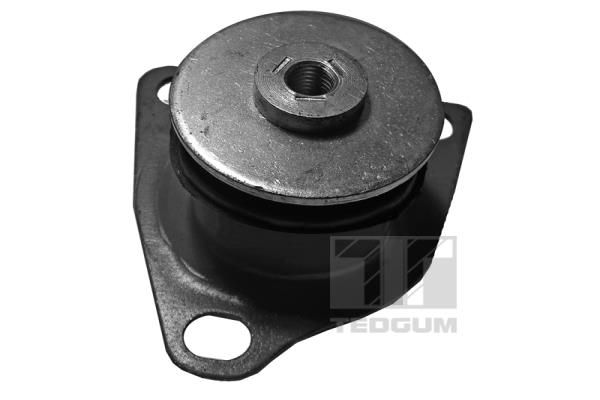 TEDGUM 00059503 Bushing, axle beam