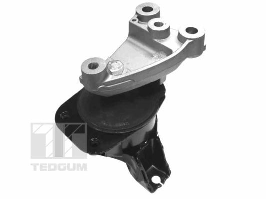 TEDGUM 00263047 Mounting, engine