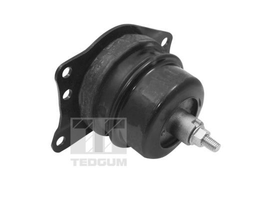 TEDGUM TED40385 Mounting, engine