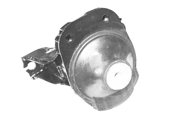 TEDGUM TED41677 Mounting, engine