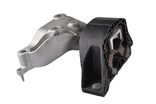 TEDGUM TED98336 Mounting, engine
