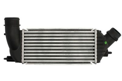 Charge Air Cooler THERMOTEC DAC011TT